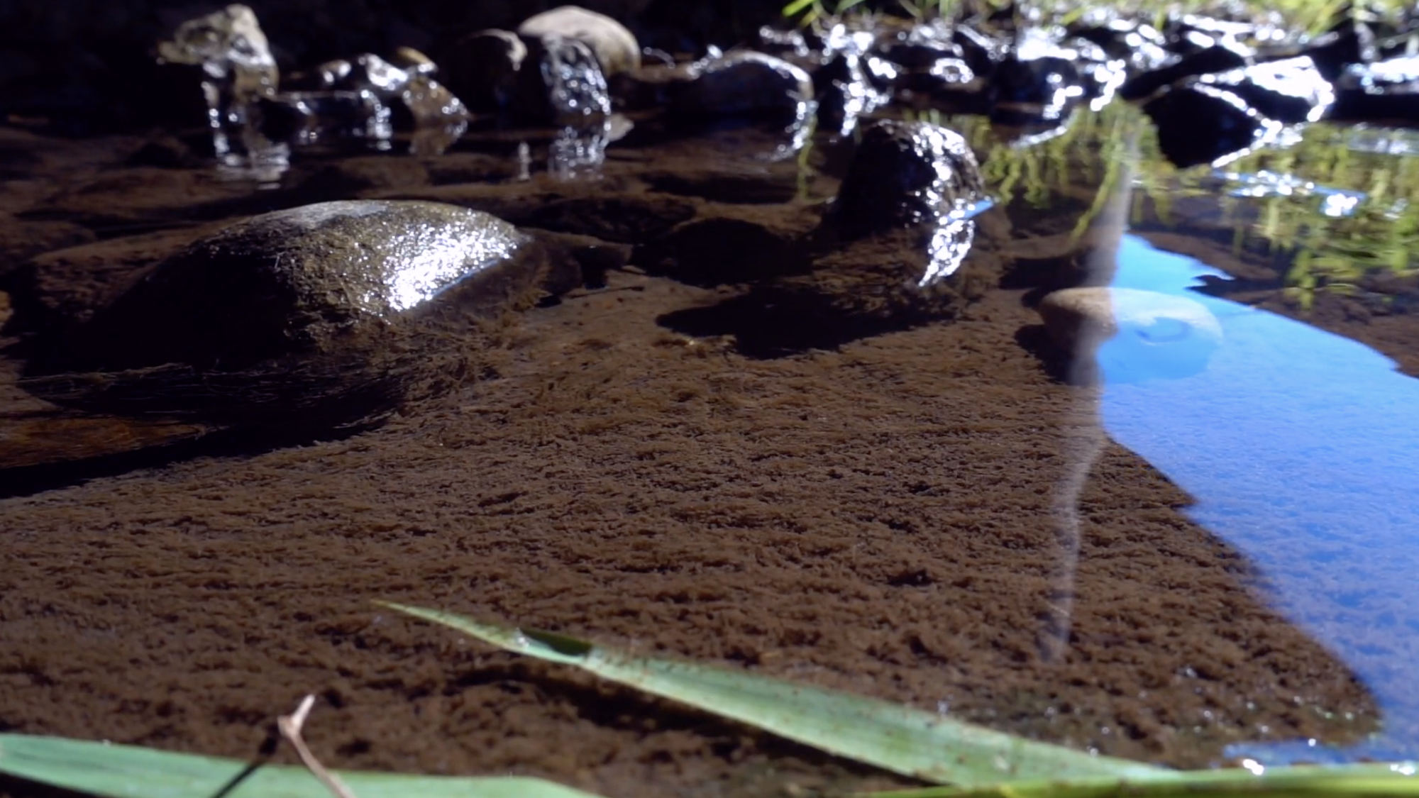 placeholder image-sq